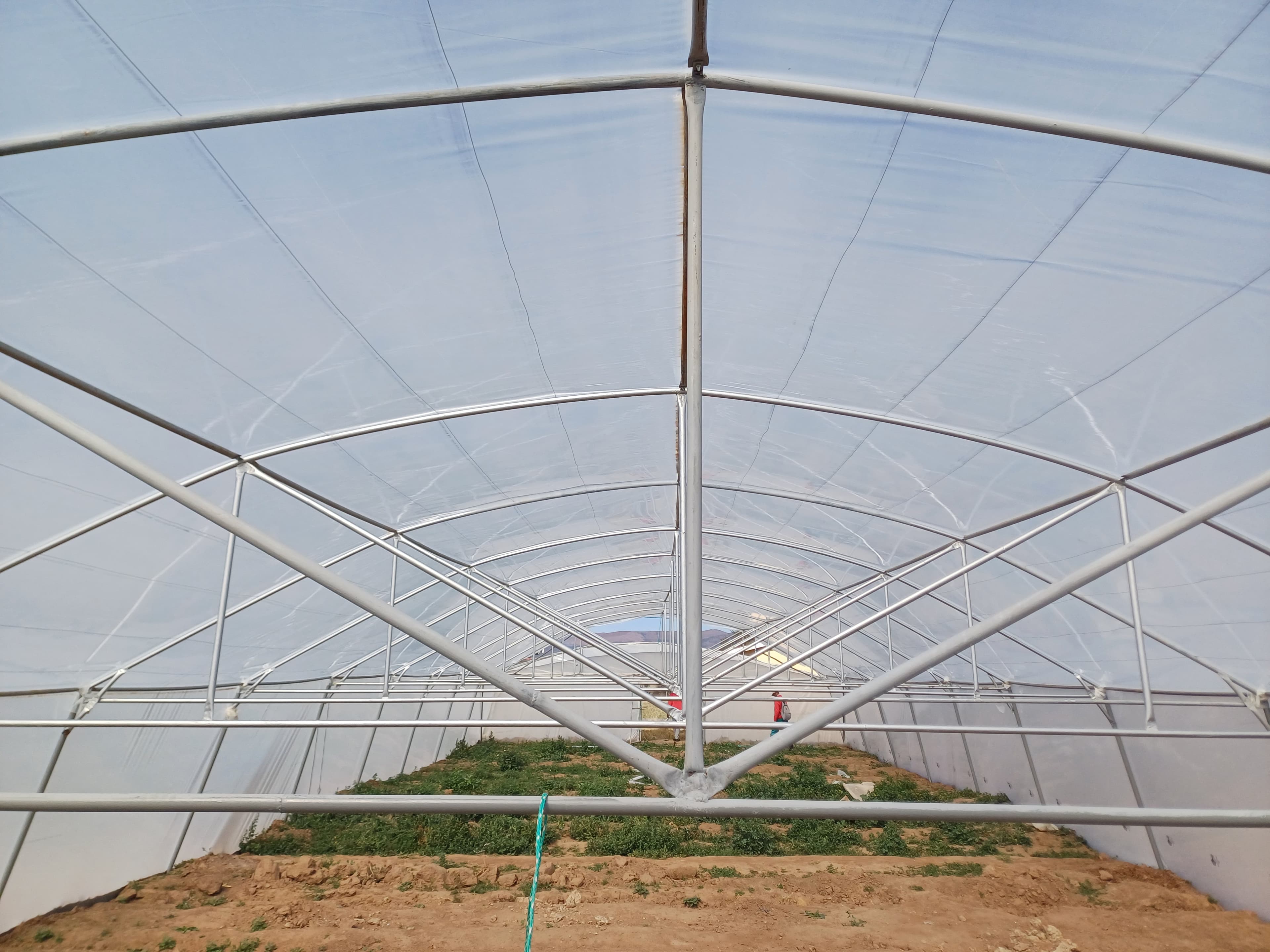 Greenhouse tunnel project ready for a custom engineering quote