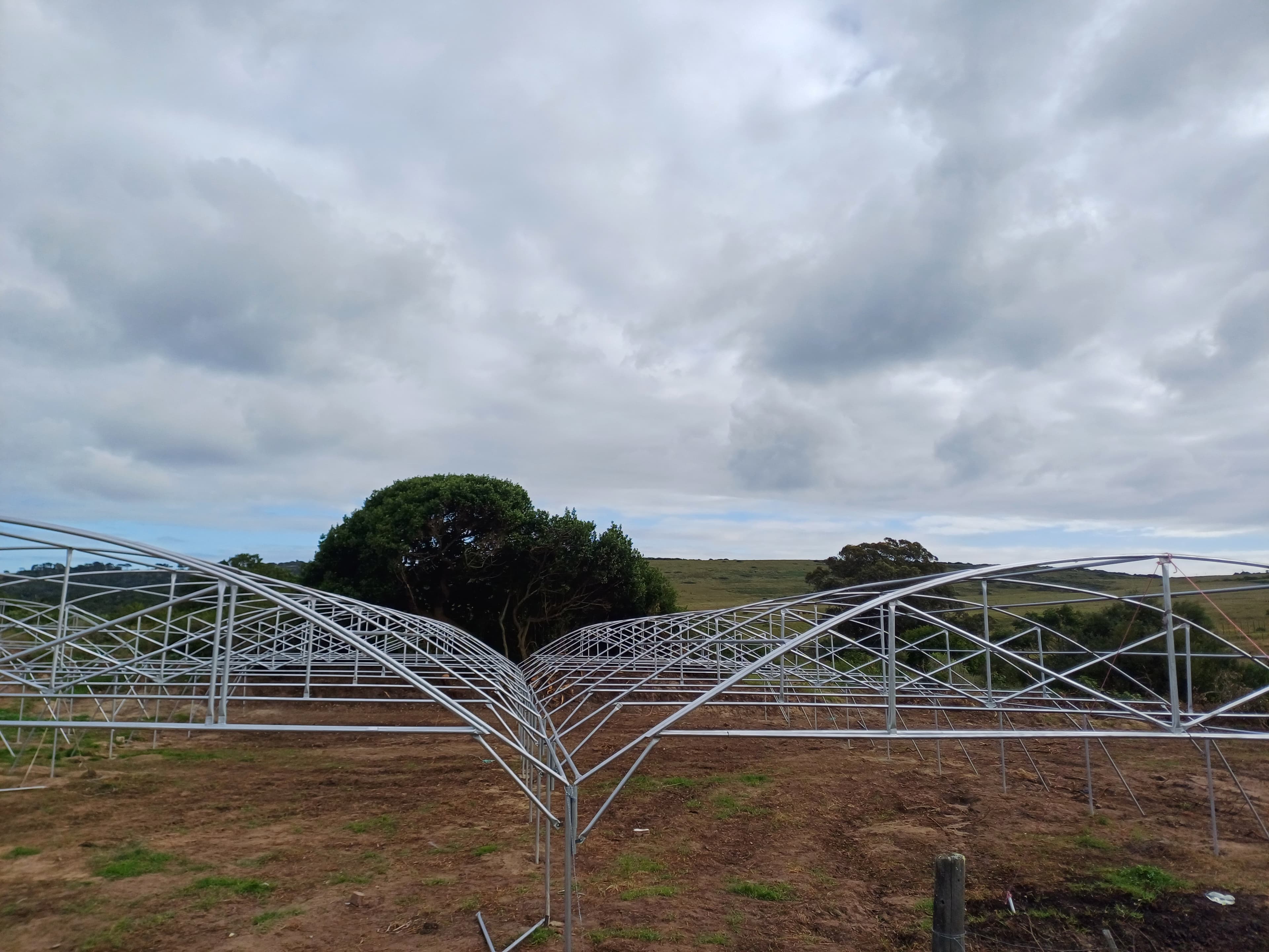 Agricultural engineering precision by Synergy Lab Tunnels